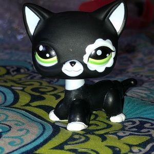 Lps cat see description